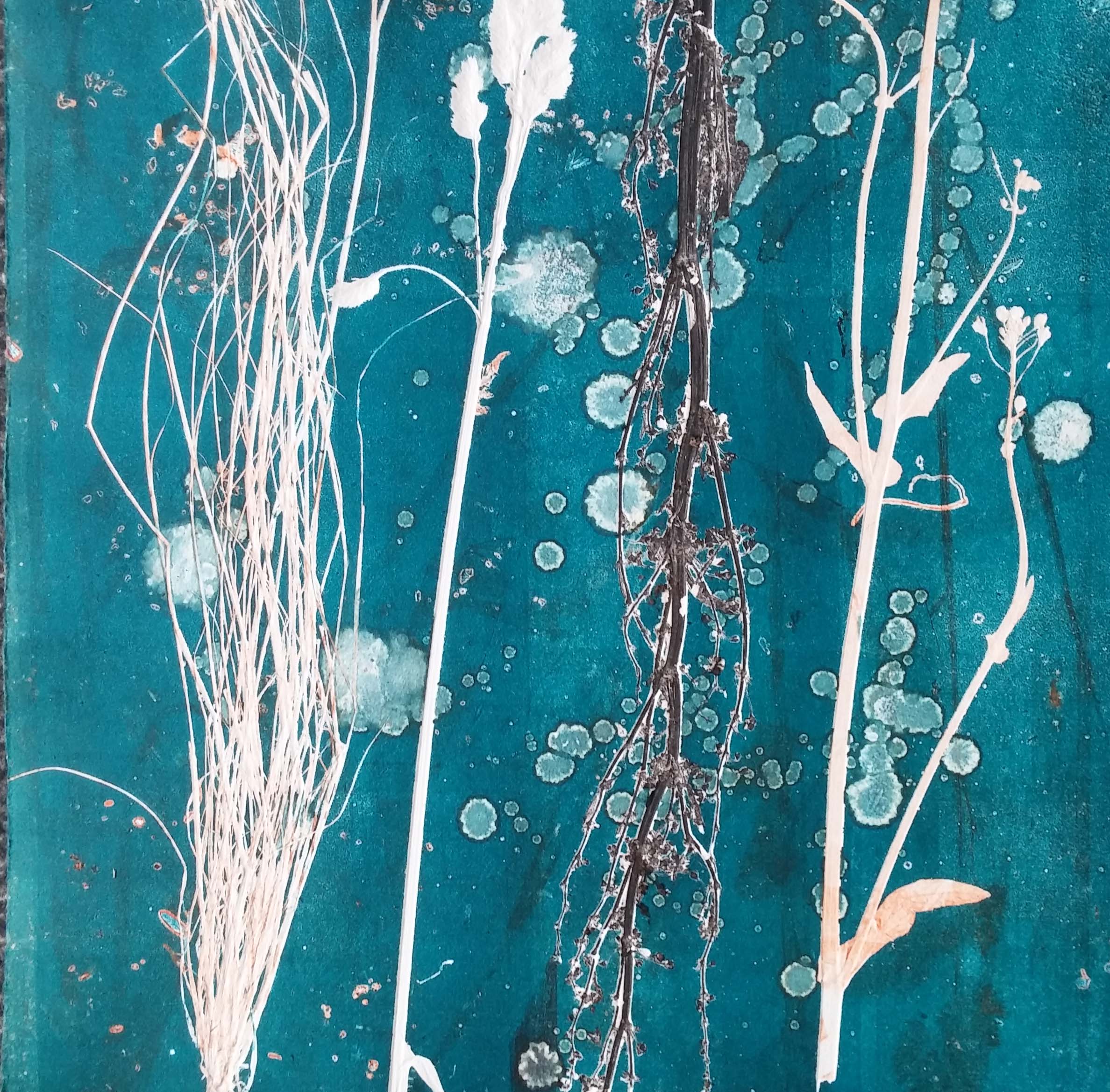 Herbarium